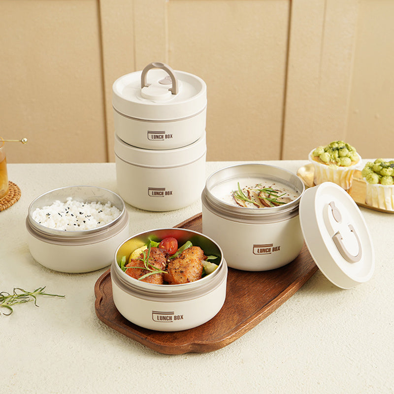 Multi-Layer Insulated Lunch Box with Carry Bag